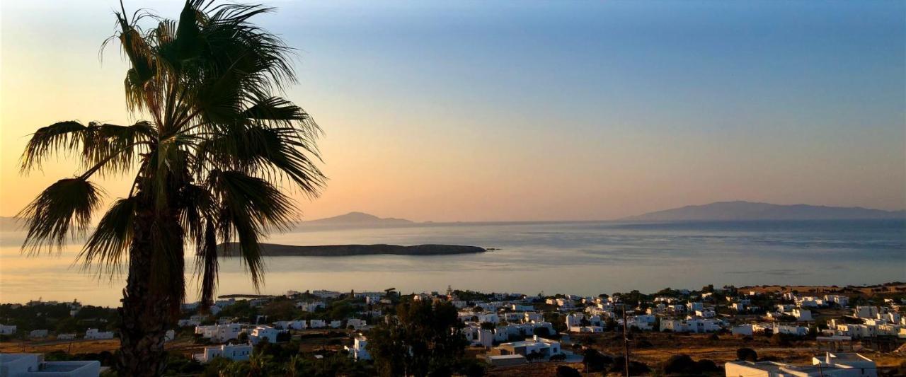 Villa Rossi Paros Luxury Apartments And Suites Drios Eksteriør bilde